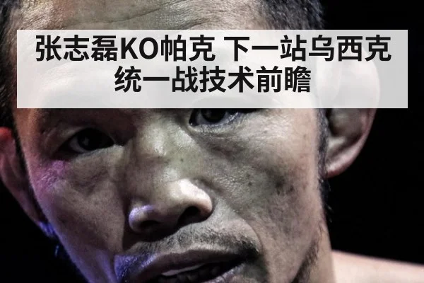 张志磊KO帕克 下一站乌西克统一战技术前瞻